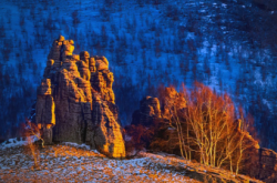 赤峰五門市賣豬肉電話號碼