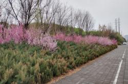 赤峰橋北公園游樂(lè)場(chǎng)電話號(hào)碼