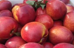 赤峰雞肉卷批發(fā)電話多少號