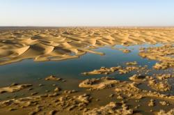 赤峰翁旗鞭炮專賣店電話號(hào)碼