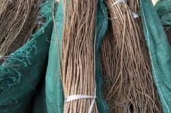 赤峰黃芪加工廠家電話號碼