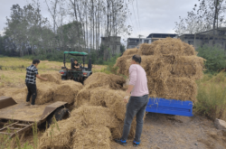 赤峰市收草公司電話(huà)地址查詢(xún)