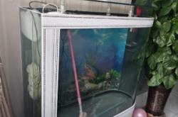 赤峰二手魚缸同城網(wǎng)電話號碼