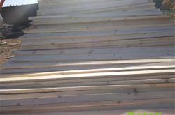 赤峰落葉松苗廠家電話號(hào)碼