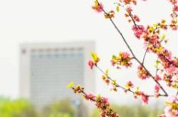 赤峰思卓諾達聯(lián)系電話號碼