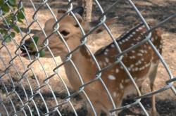 赤峰文鐘鎮(zhèn)垂釣園電話(huà)多少號(hào)