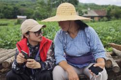 赤峰時(shí)興農(nóng)具廠地址電話號(hào)碼