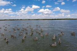 赤峰鑫鑫駕校直播間電話號碼