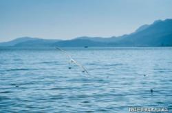 赤峰萬(wàn)達(dá)攬境物業(yè)電話(huà)號(hào)碼