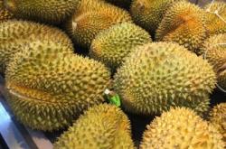 赤峰果蔬園水果超市電話號碼