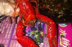 赤峰老炮兒音樂烤吧電話地址