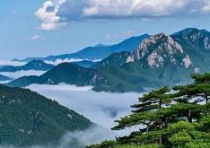 赤峰千嬌百媚ktv電話號碼