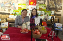 赤峰平莊帶貨直播公司電話號(hào)碼