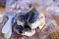 赤峰收龜商家電話號碼多少