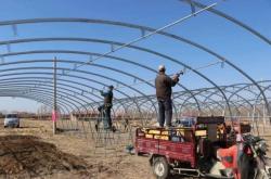 赤峰市林東鎮(zhèn)球館電話地址是多少