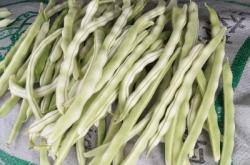 赤峰賣豆角絲的電話是多少號(hào)