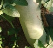 赤峰疏菜烘干廠電話多少號