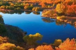 赤峰修傘的店鋪電話號(hào)碼是多少