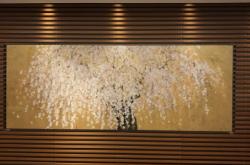 赤峰頭等艙體驗館電話號碼