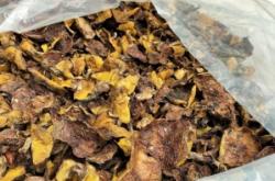 赤峰寧城面粉廠電話(huà)號(hào)碼多少