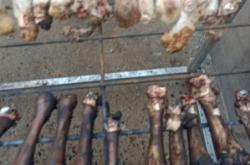 赤峰阿旗煙花廠電話多少號