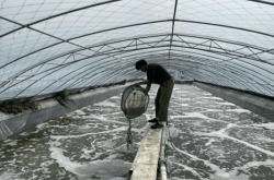 赤峰小棚焊接廠(chǎng)家電話(huà)號(hào)碼查詢(xún)