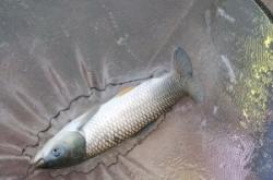 赤峰三座店釣魚(yú)地址電話號(hào)碼