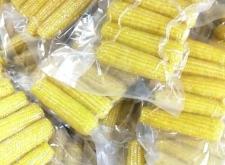 赤峰凍貨批發(fā)商家電話號碼