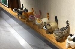 內蒙赤峰市網(wǎng)紅小店電話號碼