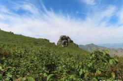 赤峰松山區(qū)安監(jiān)站電話號(hào)碼