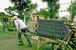 赤峰賣(mài)蜂窩煤的地方電話號(hào)碼