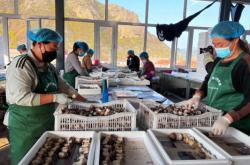 赤峰速凍品經(jīng)銷商電話地址查詢