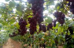 赤峰御龍垂釣園電話多少號(hào)