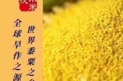 赤峰敖漢奶茶店電話多少號