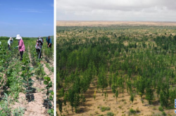 赤峰種草收割機(jī)廠家電話號(hào)碼