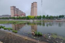 赤峰市野雞廠電話號碼查詢