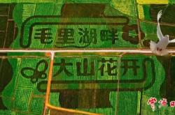 赤峰市桃花花海社區(qū)電話號碼