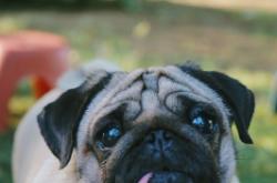 赤峰流動酒攤電話號碼多少號