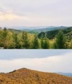 鳳城到赤峰私家車電話號碼