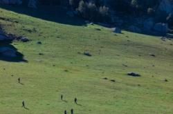 赤峰大彎理發(fā)店地址電話號碼