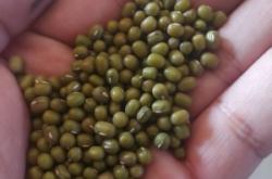 赤峰4級顆粒板廠家電話號碼