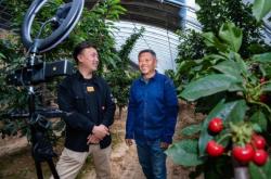 赤峰市紅山區(qū)郵局電話號(hào)碼