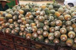 赤峰鳳梨蛋糕店電話號碼多少