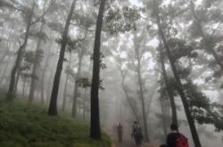 赤峰藥鄉(xiāng)高橋隊(duì)電話號(hào)碼是多少