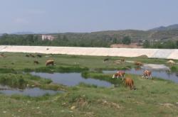 赤峰阿旗龍龍臺球廳電話地址