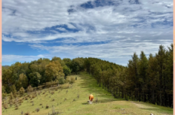 赤峰呦呦谷度假村電話地址查詢