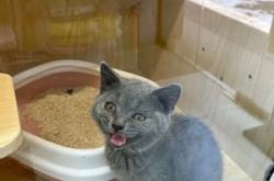 赤峰超級(jí)萌寵屋電話多少號(hào)