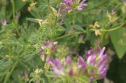 赤峰彤陽(yáng)浴池怎么樣