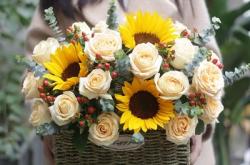 赤峰玫瑰花鮮花批發(fā)電話號(hào)碼