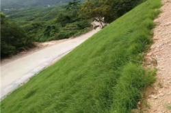 赤峰水性負氧泥廠家電話號碼